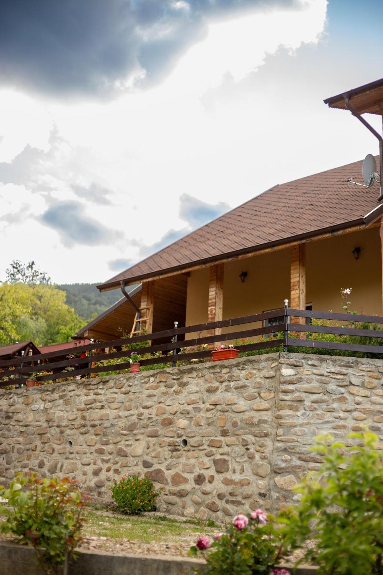 Casa Rumelia Paltineni Exterior photo
